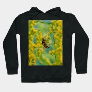 Out on a limb Hoodie